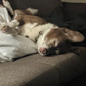 Meet your Posher, Andrew